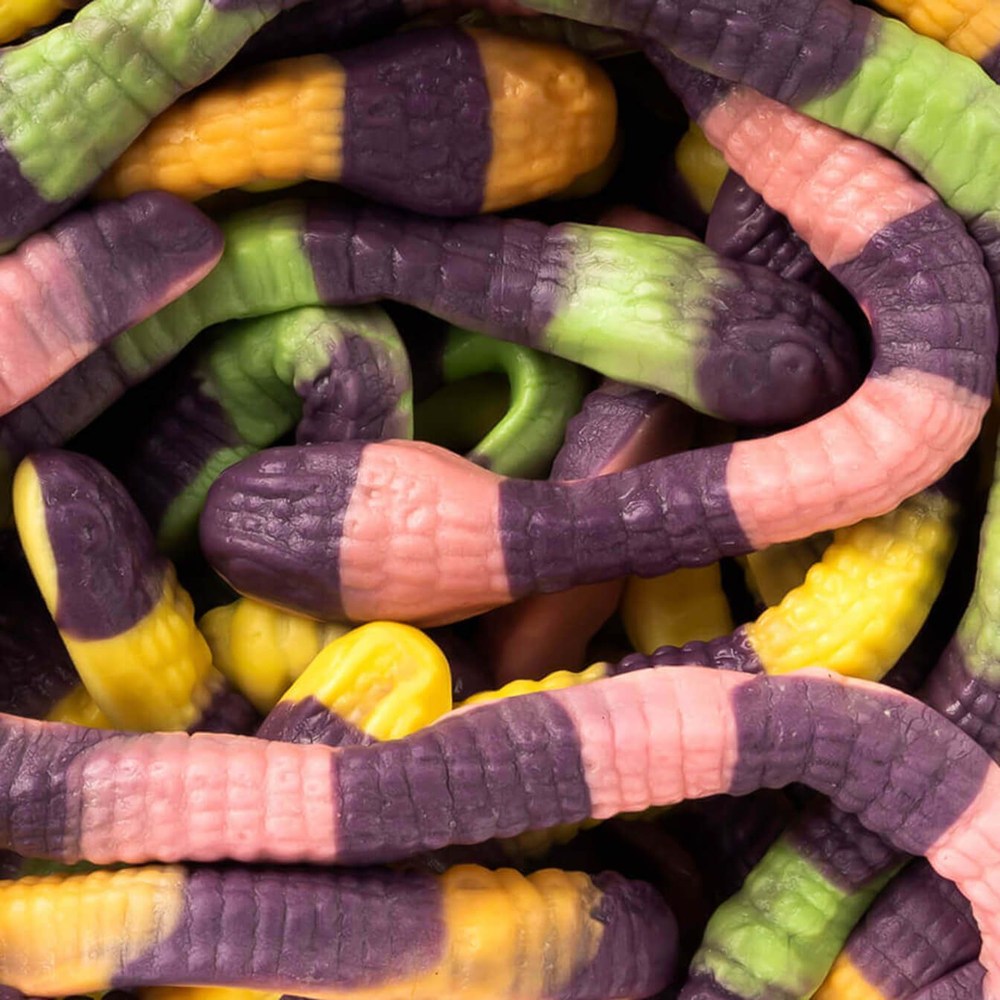 Vidal Anacondas - My American Shop