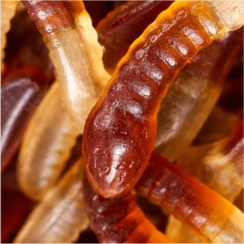 Bebeto Snake Cola
