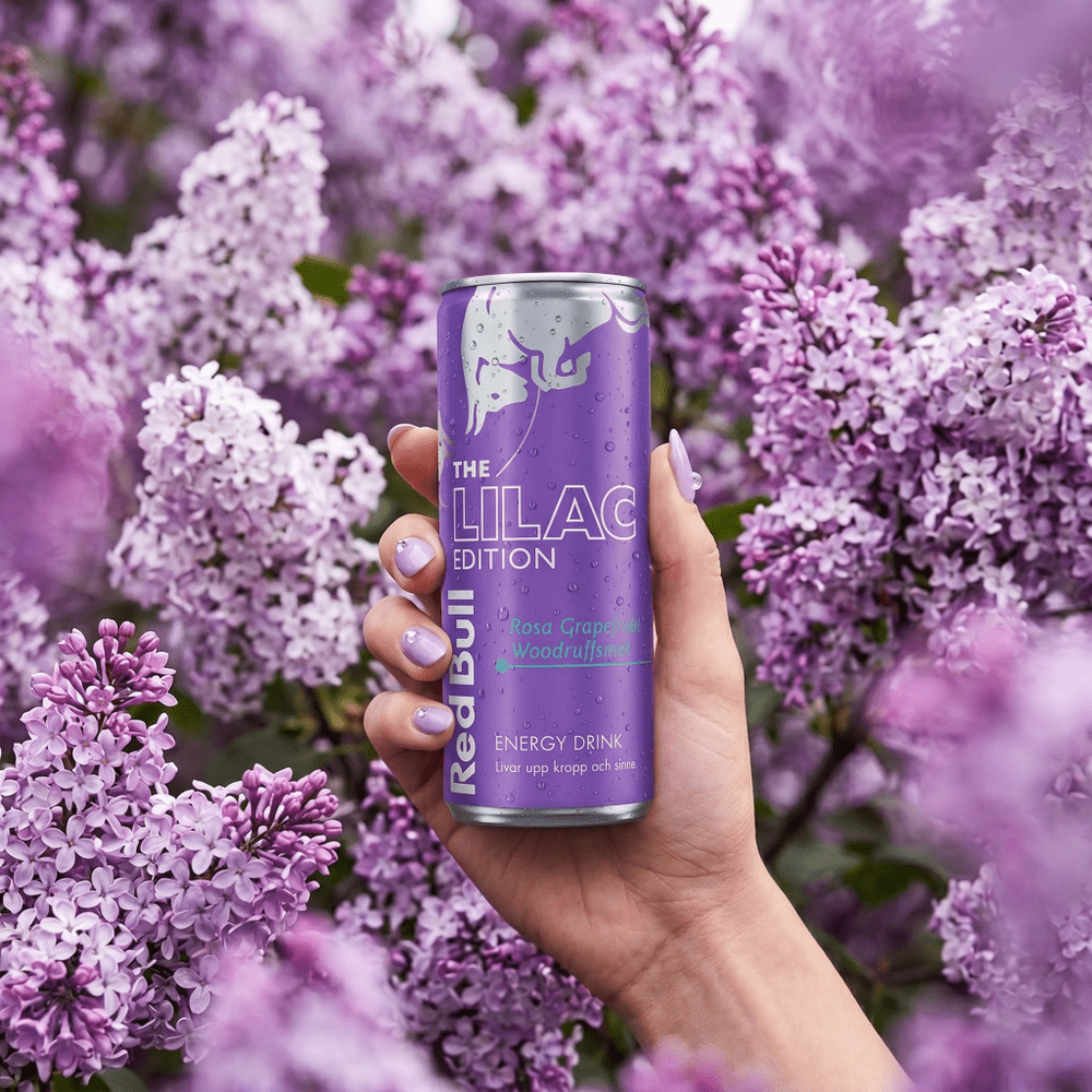 Red Bull Drink Edición Lila Pomelo Rosado y Aspérula