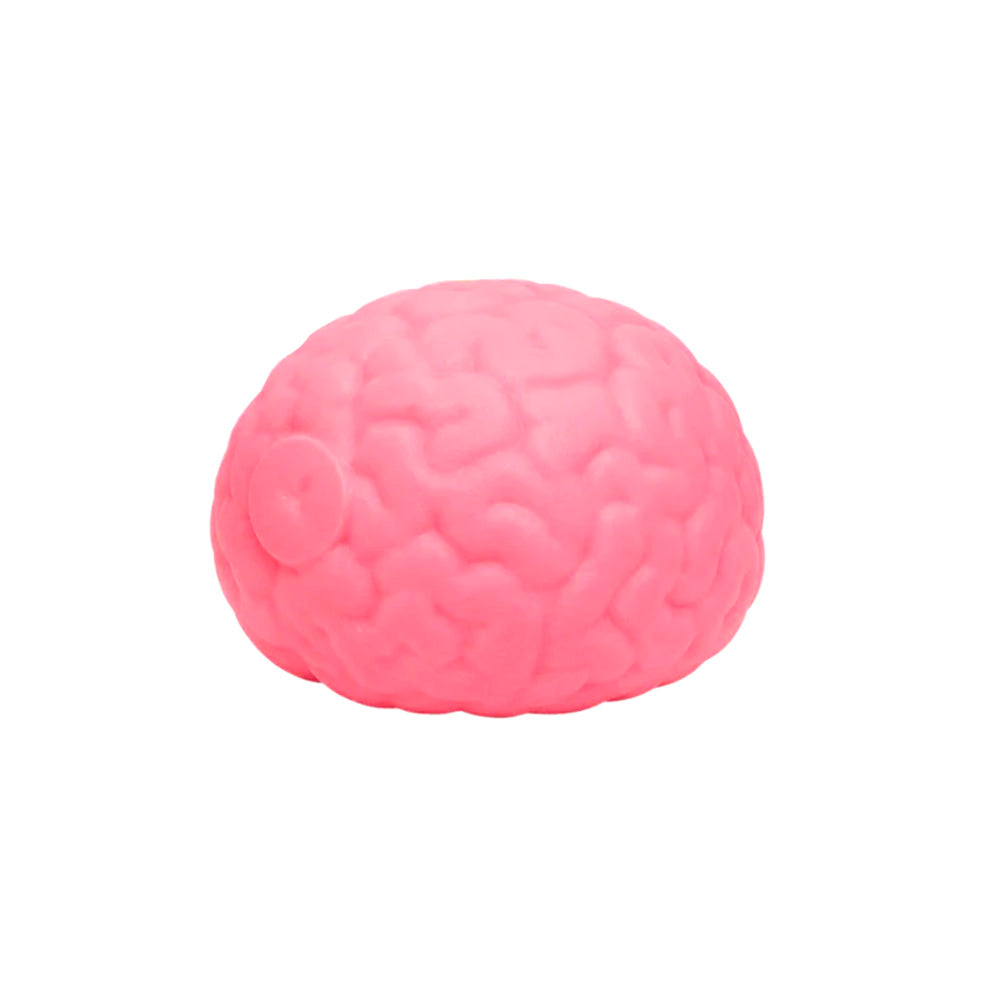 Cerebro blando