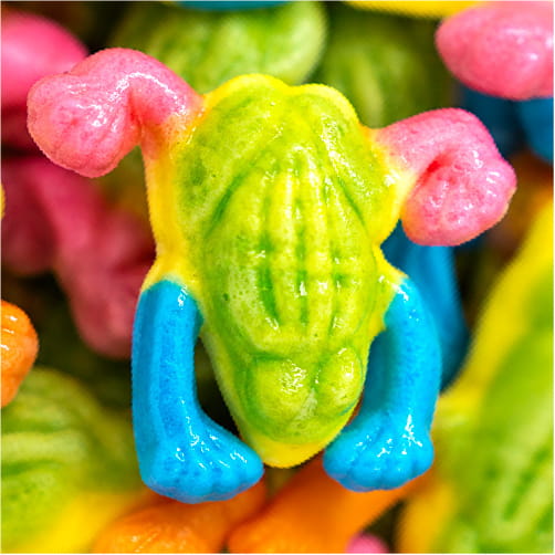Ranas tropicales Vidal
